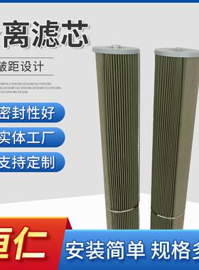 PSE80H1/ Z1203126不锈钢油雾分离滤芯 净化滤芯分离滤芯折叠滤芯
