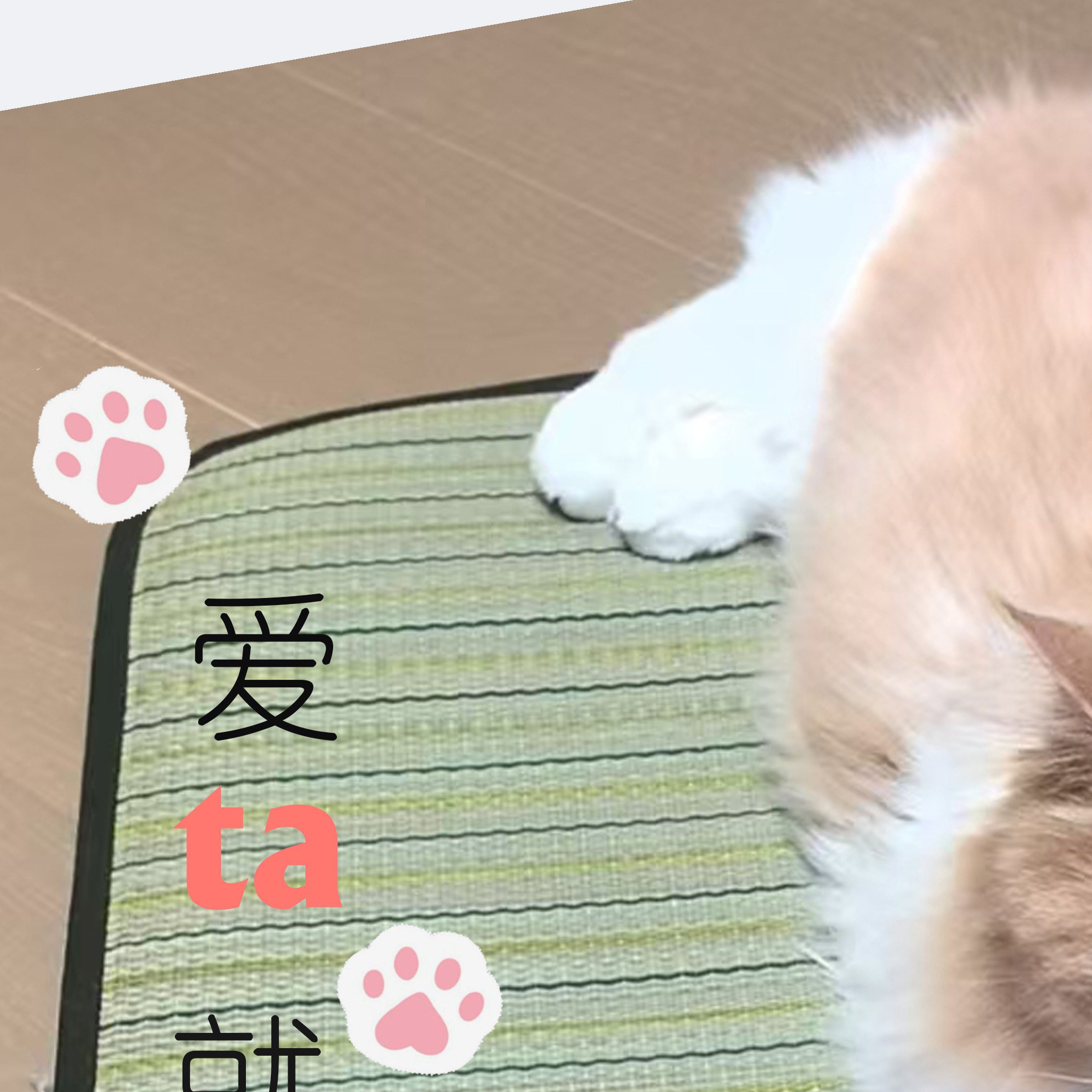 瑶草狗窝猫窝夏季夏天小中大型犬睡觉宠物窝草子透气宠物布贴