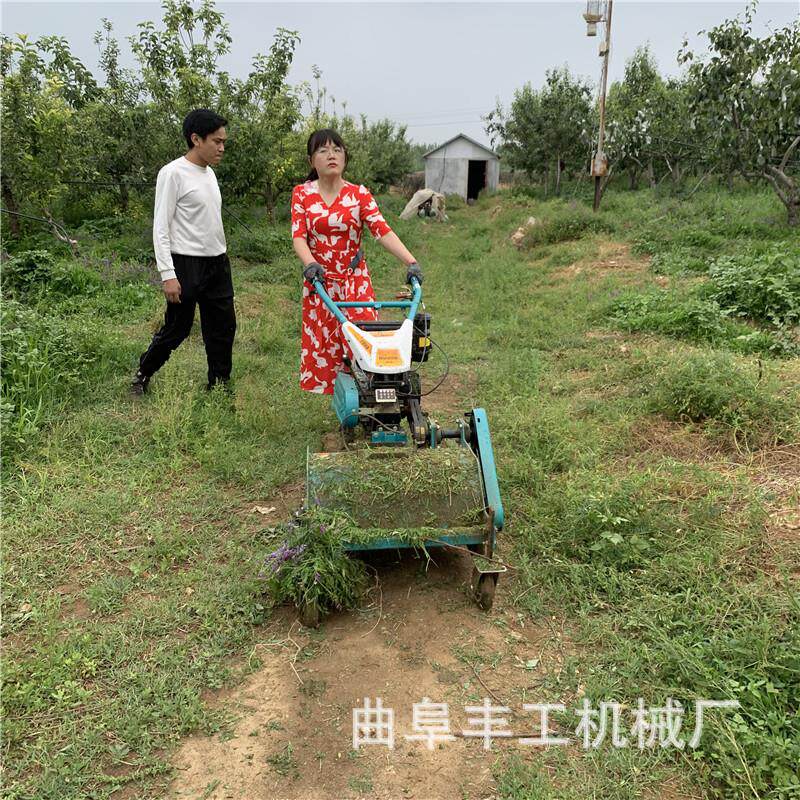 柴油大马力公园剪草机幼儿园草坪小型剪草机果园大棚秸秆还田机