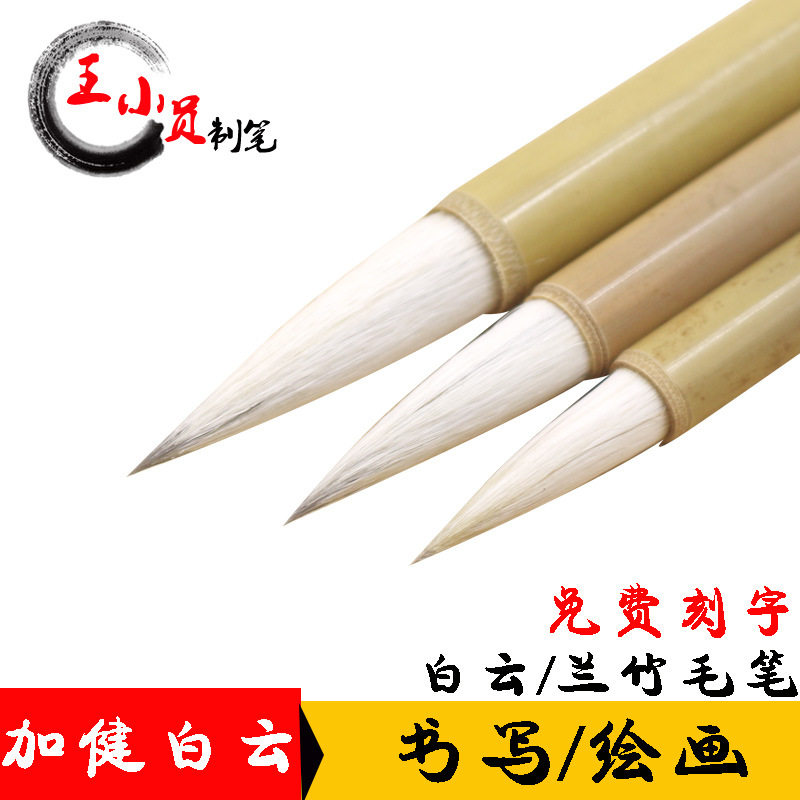 书法班课堂毛加健大白云兼毫毛学生练字国画大兰竹狼毫