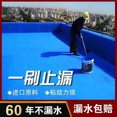 屋顶防水涂料补漏材料水性聚氨酯房屋顶外墙专用沥青堵漏防水胶水