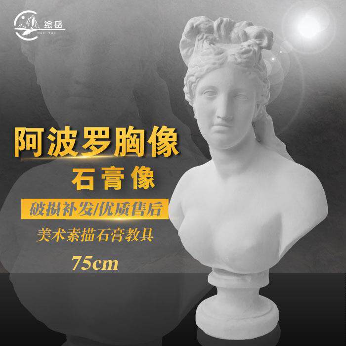 绘岳美术石膏头像阿波罗胸像素描石膏像静物写生胸像美术器材