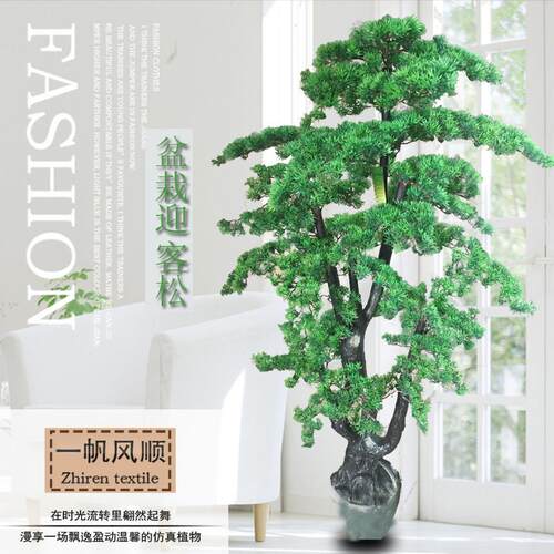 凯瑞彷真植物盆栽客厅塑料树大型绿植室内发财树迎客松落地花松树