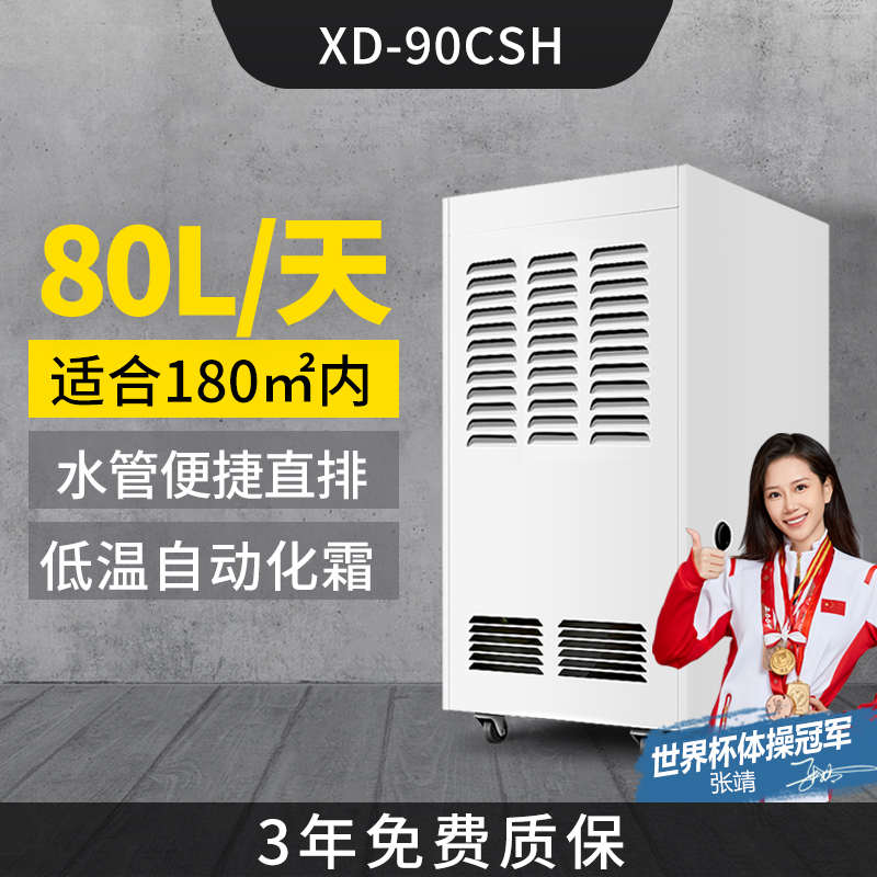 吸地下室器仓库典抽湿新家用湿气车间工业除湿机防潮商用大功率
