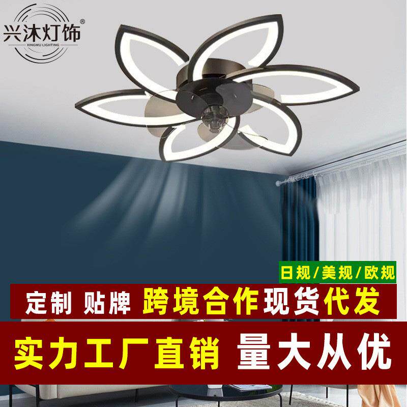 跨境吸顶灯风扇灯简约现代卧室客厅灯带电风扇灯具厂家直销