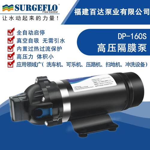 DP-160交流直流净水器压水泵可乐机清洗泵压洗车喷雾小型水泵