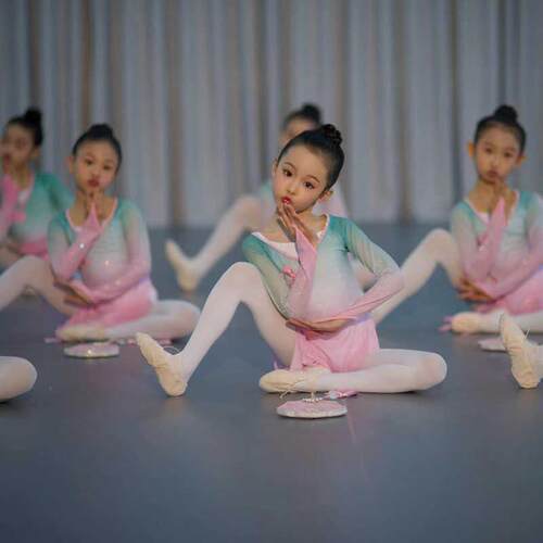 儿童古典舞演出服女童扇子舞古风舞蹈服中国风表演服检定考试形体