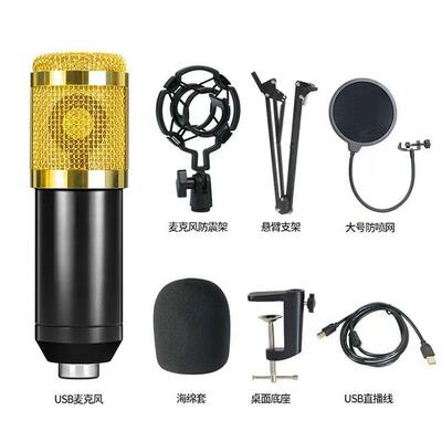 192KHz/24Bit高采样率电脑USB麦克风BM-800电容麦克风套装话筒BM-