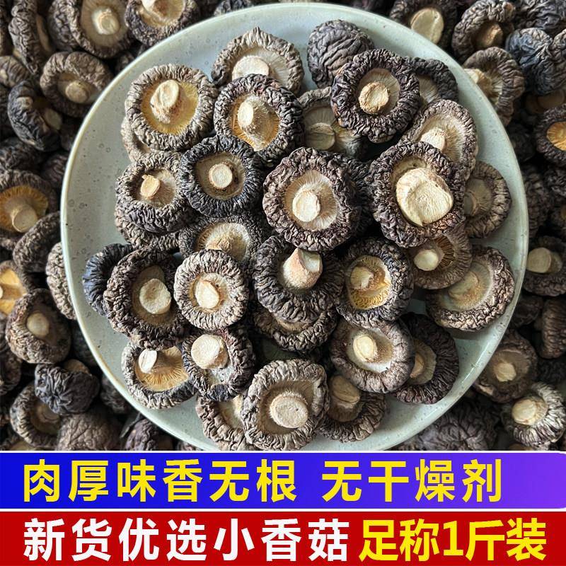 井冈山小香菇干货500g新货散装农家自产蘑菇冬菇特产花金钱菇