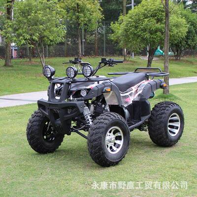 厂家直销ATV新款防震动大公牛沙滩车GY6自动挡链条景区场地200cc