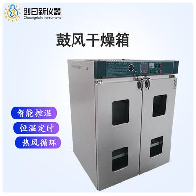 DGF-4带超温保护智能数显热风循环工业鼓风干燥箱