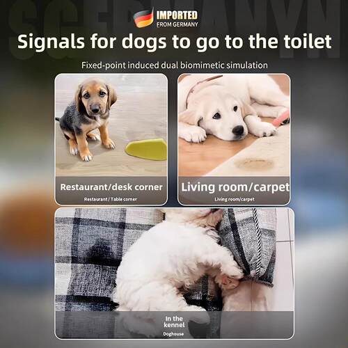 德国专业犬定点排便犬厕所诱尿器犬排尿垫犬排便训练犬不拉
