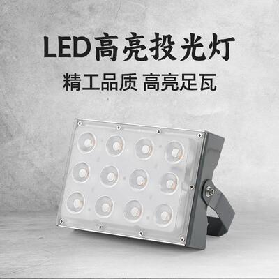 TRIAC可控硅聚光led投光灯50W户外照树灯防水景观草坪氛围七彩灯
