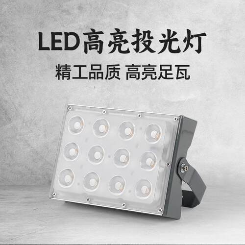 TRIAC可控硅聚光led投光灯50W户外照树灯防水景观草坪氛围七彩灯