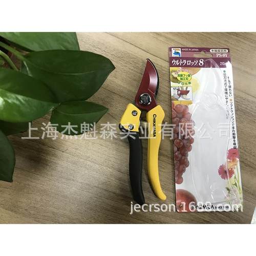近正大嘴鸟修枝剪PS-7Y盆栽粗枝剪花艺剪刀 园林园艺树枝剪子