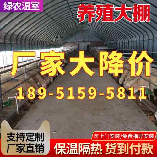 养殖大棚钢管骨架全套椭圆管温室保温简易蔬菜大棚养鸡猪支架钢架