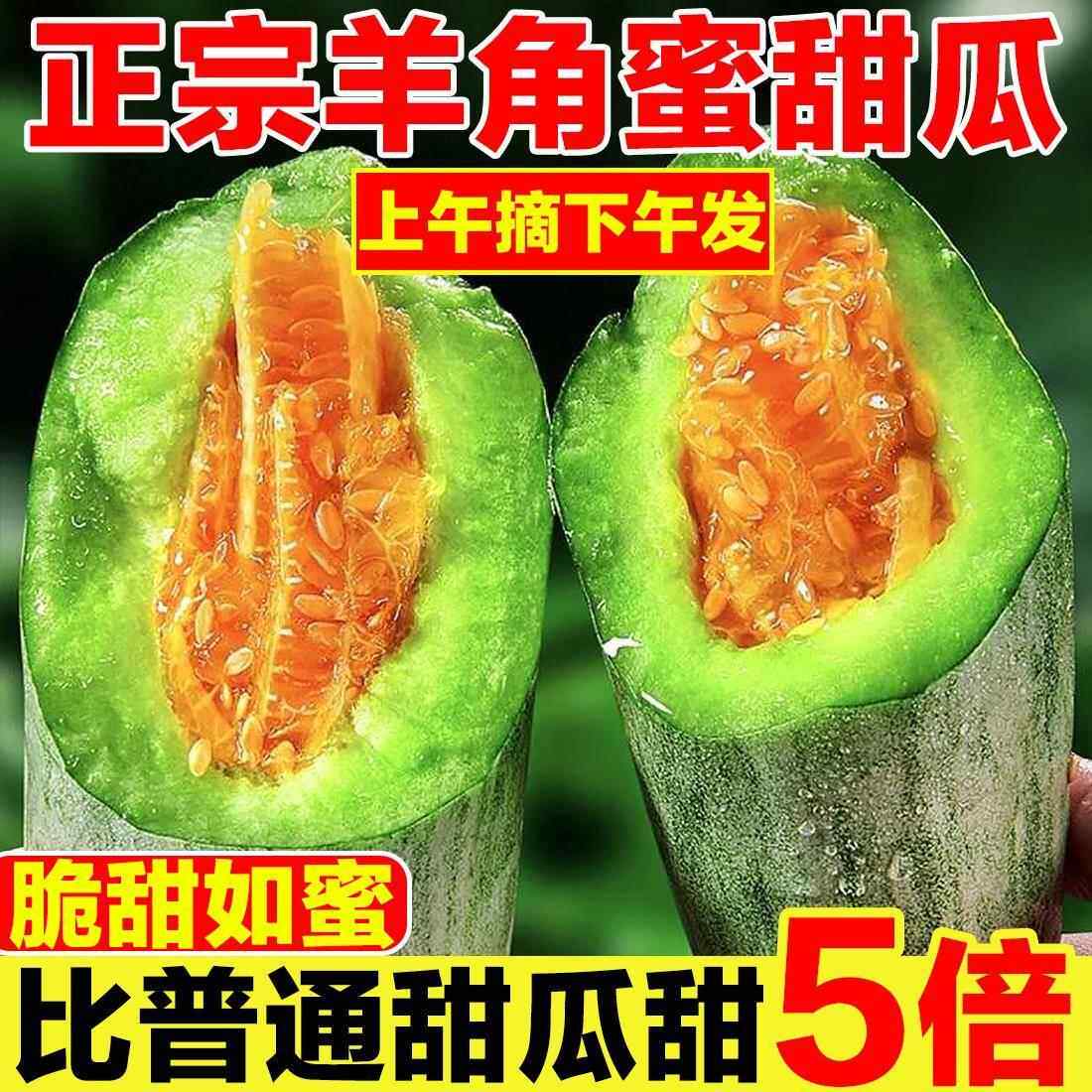 山东头茬羊角蜜甜瓜现摘羊角脆水果新鲜孕妇应季瓜整箱哈蜜瓜香瓜