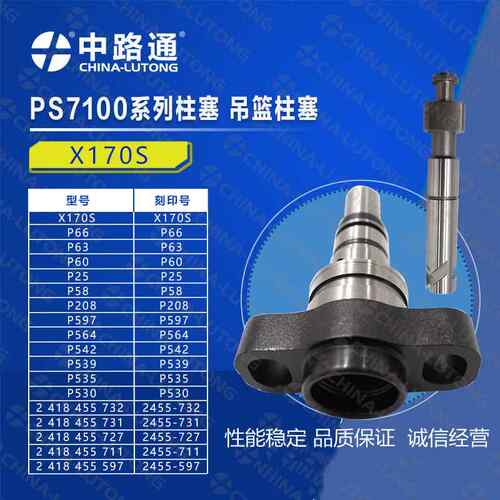 P8500、PS7100系列柱塞偶件2 418 455 518，P12-U462，F000401408