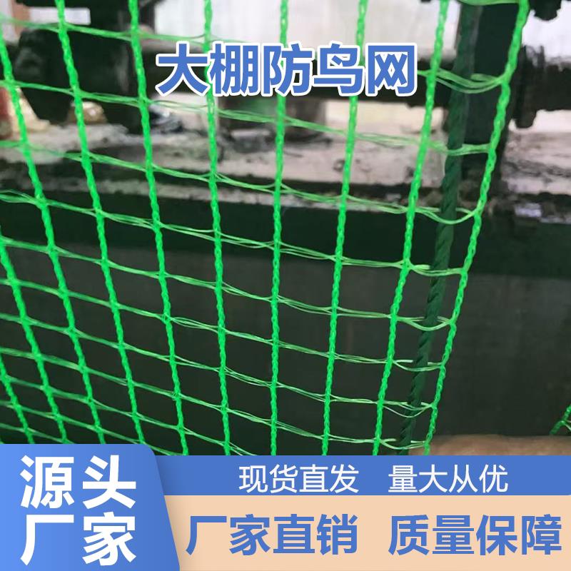 防鸟网果蔬大棚出风口防鸟网果园防鸟网尼龙线樱桃葡萄天网
