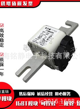 170M4208 170M4209 170M4210 170M4211 170M4212熔断器170M4213