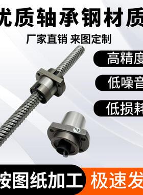静音型精密滚珠丝杠螺母大导程SFS1616 2510 3220 4010 4020 5020