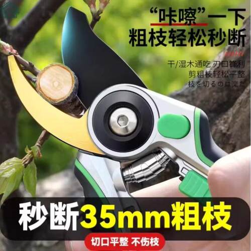 剪树枝专用剪刀园艺园林花卉果树剪枝花木通用剪省力不锈钢修枝剪