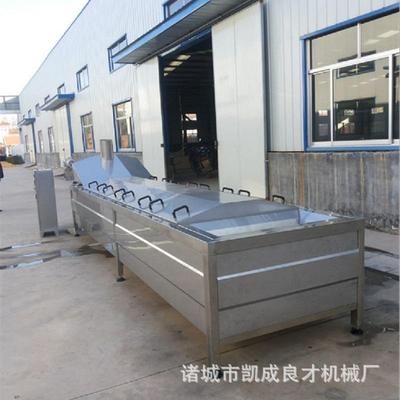 供应蔬菜漂烫机杀青机金瓜丝巴氏杀菌机塑料瓶板式杀菌机