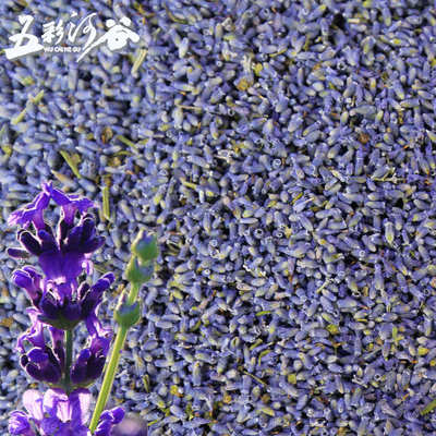 新疆伊犁65团散装薰衣草干花粒法国蓝雨前花香包香囊枕头薰衣草