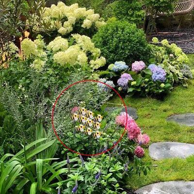 10x Decorative Garden Stakes Yard Stakes Resin,Yard Art