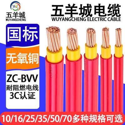 五羊城国标BVV10/16/25/35/50/70平方铜线 线双塑铜芯家装电线 线