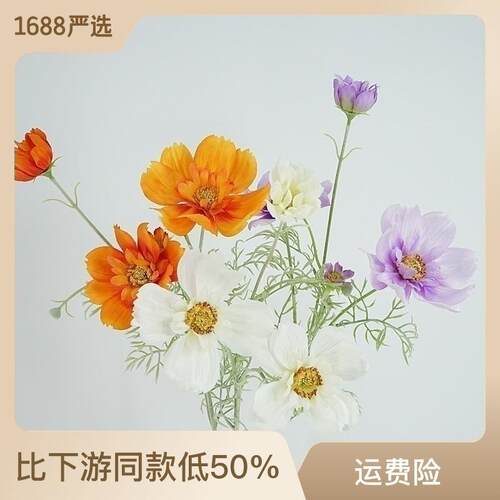 新款直销小清新田园风仿真花单枝大波斯菊格桑花客厅装饰假花绢花