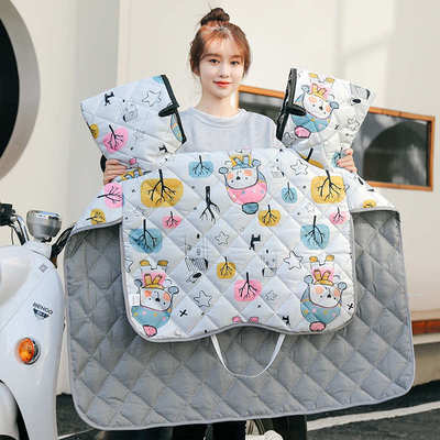 电动车挡风被冬季双面防水摩托车电瓶车防风罩四季通用中厚款