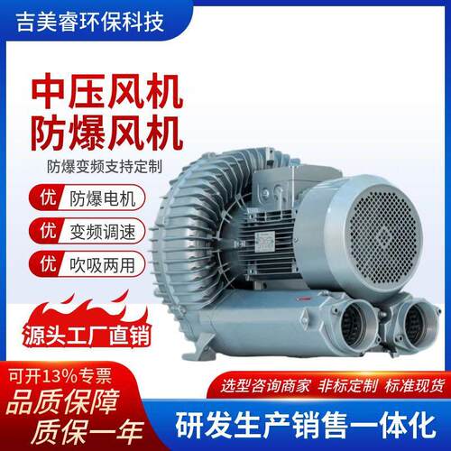 粉尘气体输送负压大风量旋涡气泵隔爆型BT4粉尘防爆CT4高压鼓风机