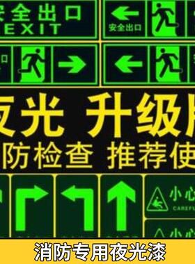夜光油漆发光艺术漆蓄光光能黑夜反光夜光漆橙色荧光漆喷漆