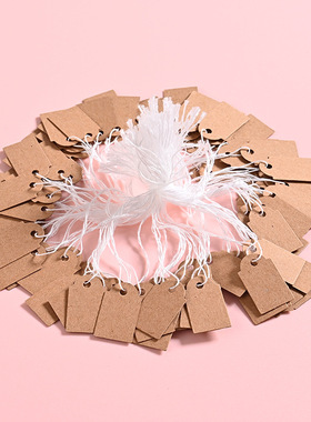 贝壳价签挂牌纸卡手写装饰摆件