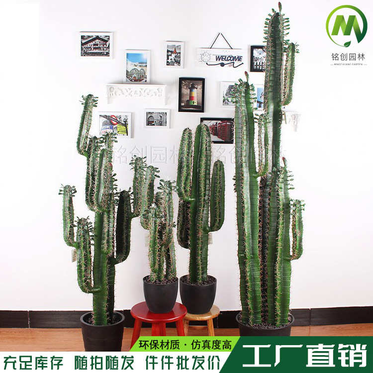 仿真仙人掌仙人球热带仙人柱绿植盆景室内装饰摆设盆栽厂家直销