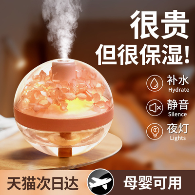 永生花加湿器家用静音卧室小型办公室桌面迷你床头宿舍学生充电款