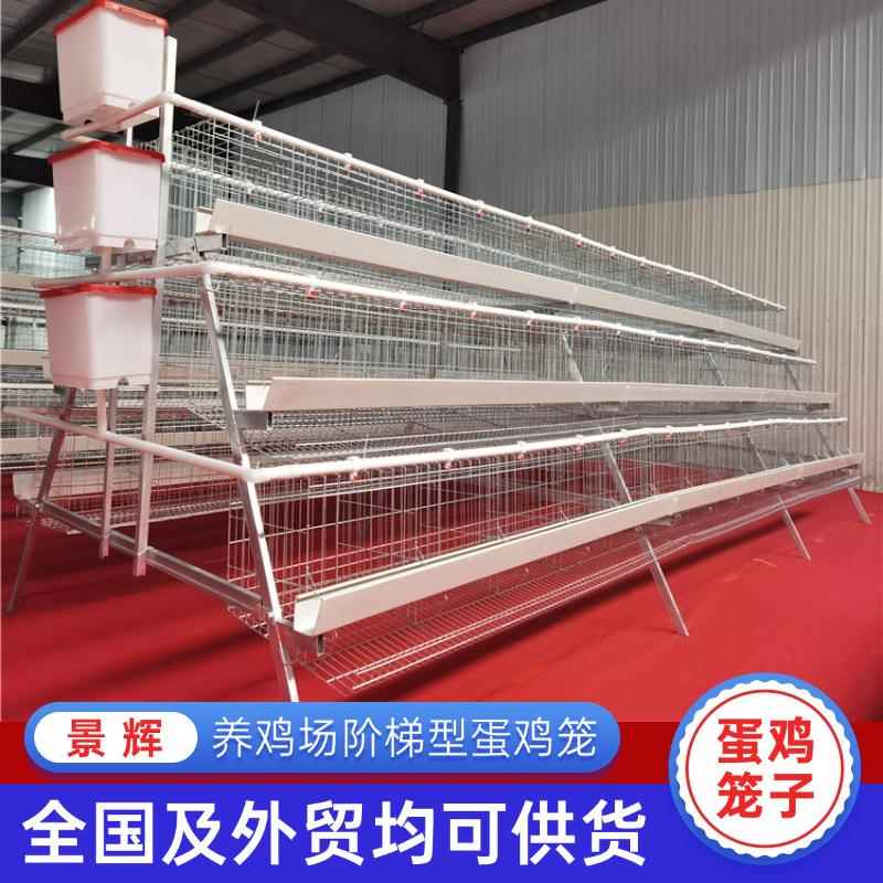 阶梯多层鸡笼外贸出口家禽养殖自动化阶梯式自动滚动蛋养鸡设备
