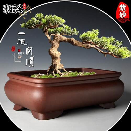 宜兴紫砂盆景盆 马槽长方形假山造景盆小叶紫檀菖蒲盆景花盆清仓