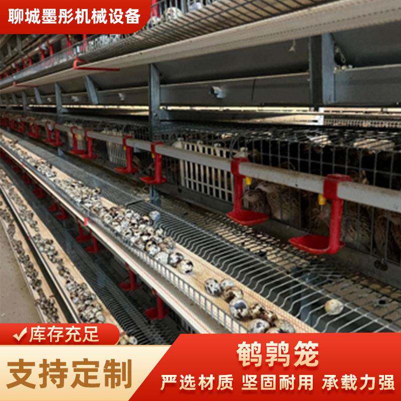 厂家定制养殖场鹌鹑笼鹌鹑产蛋活鸟专业阶梯式三层四层鹌鹑养殖笼