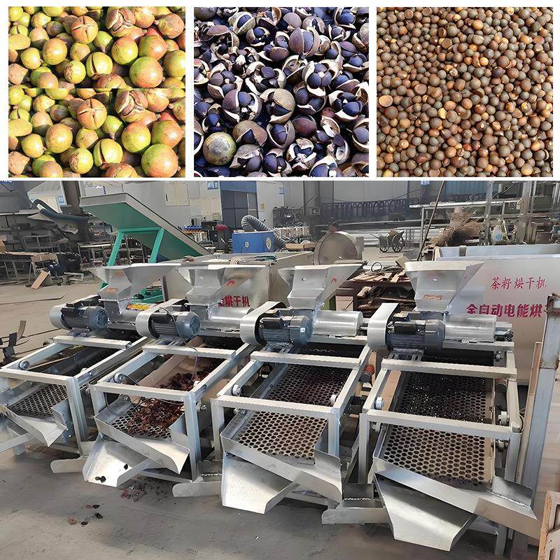 800型油茶籽剥壳机全自动干湿两用青茶果去皮剥籽分离一体机设备