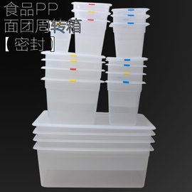 面团箱醒发箱食品箱披萨面团存储箱小规格PP白色面团盒Dough Box