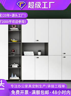 办公室文件柜办公室家用会议室柜子储物柜资料柜装饰摆件柜收纳柜