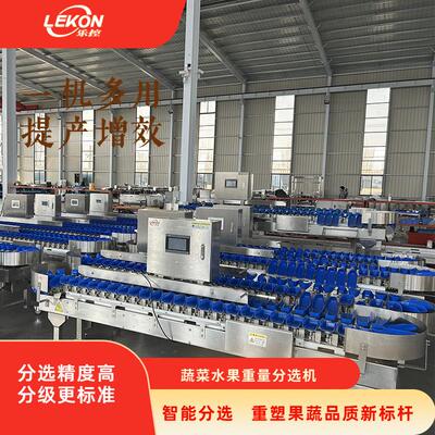 果蔬重量分选机高精度±0.1g食品级输送带无损分选土豆分级机