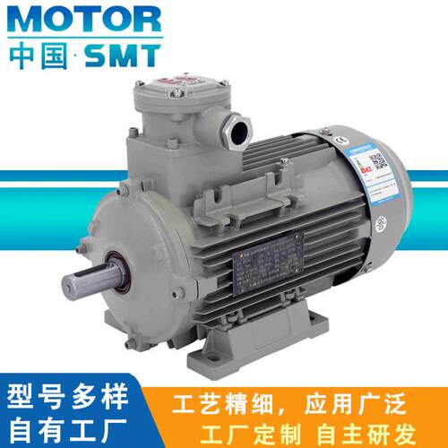 防爆电机CT4伺服粉尘防爆三相异步电动机380/660V