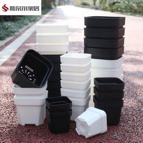 花满楼特厚方盆加厚树脂多肉迷你花盆小白黑方套包邮生石花叶插PP