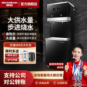 鼎百直饮水机商用步进式开水机大容量学校工厂医院车站电热净水器