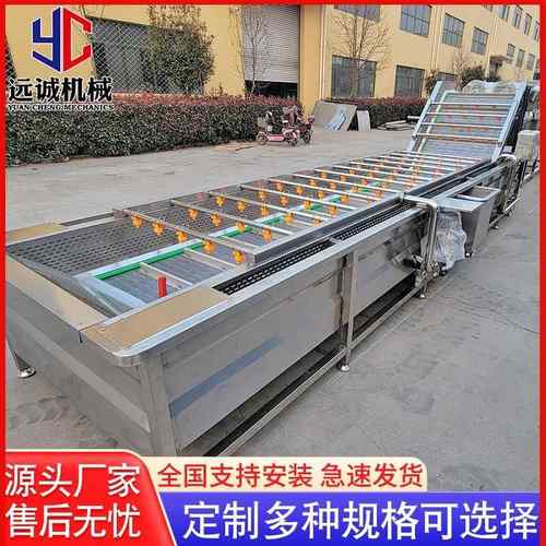 全自动喷淋式果蔬清洗机不锈钢大枣净菜清洗机设备厂家供应