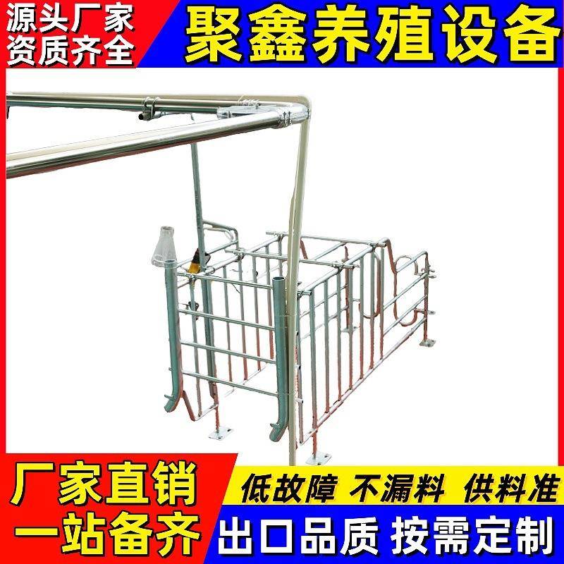 母猪定位栏猪用定位栏猪场养殖设备厚热镀锌母猪限位栏猪圈漏粪