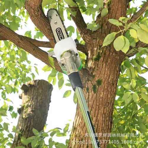 东脉58V充电高枝锯空电锯果器园林果树WDW修枝锯高高枝修摘剪式锯